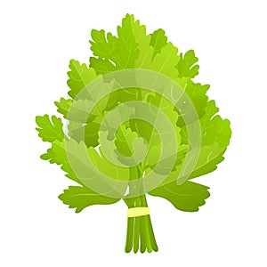 Branch parsley icon cartoon vector. Leaf plant