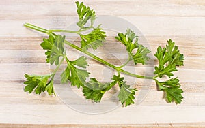 Branch of parsley on a wooden tabletop