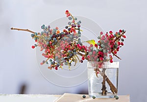 Branch of Persian turpentine tree with ripe fruits in glass with water photo