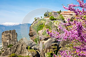 Branch of pink blossom and Great Meteoro Monastery in Meteora on the background photo