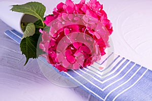 A branch of pink hydrangea lies on a napkin