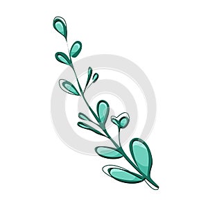 Branch of a plant with small emerald leaves vector illustrati