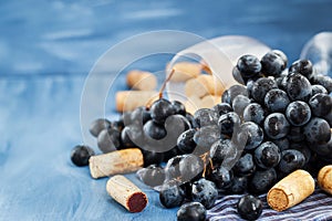 Branch of purple grape and wine corks on gray