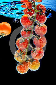 Branch with red cherry tomato with green leaves covered with gas bubbles of mineral water, a falling tomato. Black background