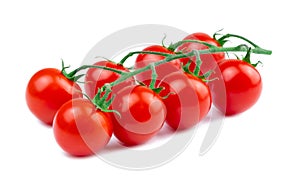 Branch of red cherry tomatoes isolated on white. Eight small fresh organic tomatoes on a stem