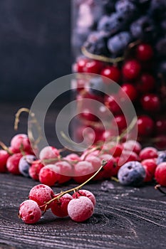 A branch of red currant in a hoarfrost on a table