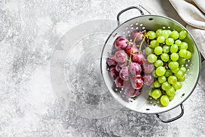 A branch of red and green grapes in a colander. Gray background. Top view. Copy space