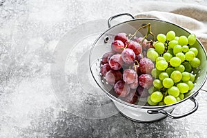 A branch of red and green grapes in a colander. Gray background. Top view. Copy space