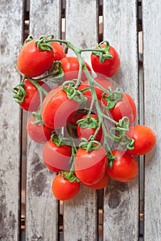 Branch of red ripe cherry tomatoes