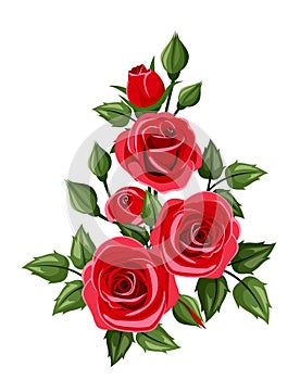 Branch of red roses. Vector illustration.