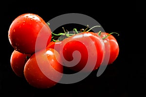 A branch of red tomato is on a black background. Close-up.