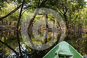 Branch of the Rio Negro, Amazonas, Brazil