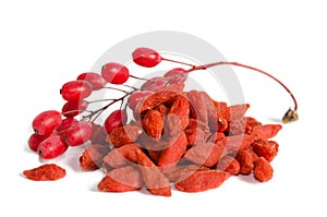 Branch of ripe red barberries and dried goji berries