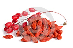 Branch of ripe red barberries and dried goji berries