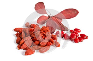 Branch of ripe red barberries and dried goji berries