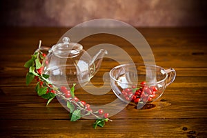 Branch with ripe red goji berry on wooden table