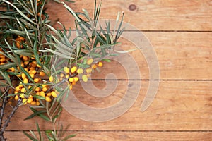 A branch of ripe sea buckthorn on a wooden background