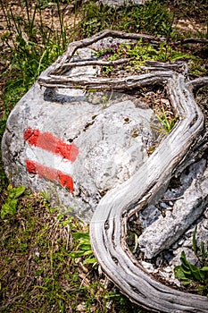 Branch on rock with red white marks for hiking path