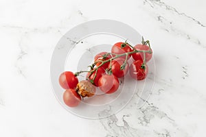Branch with rotten bad and ripe good red cherry tomatoes