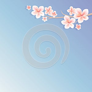 Branch of Sakura with Pink flowers isolated on gradient Blue Violet background. Apple-tree flowers. Cherry blossom. Vector