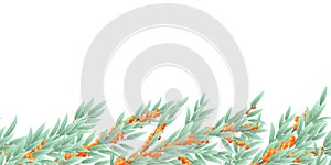 Branch of sea buckthorn with ripe fruits. Bottom line. Garden plant with edible crop. Seamless composition. Branch with