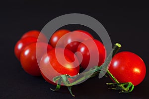 Branch of small red tomato on a black background.