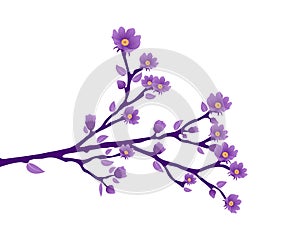 Branch soft purple flower isolated on white background
