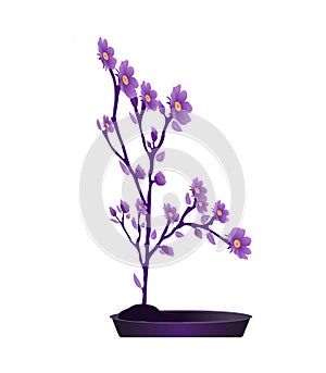 Branch soft purple flower isolated on white background