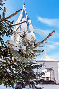 Branch of a spruce tree. Orthodox temple in the background