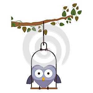 branch with swing and owl standing