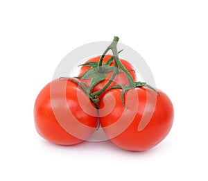 A branch of three ripe tomatoes on a white background.  Twig. Close up. Juicy ripe vegetables.