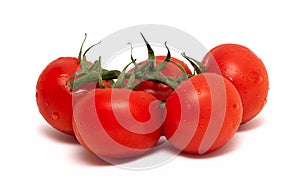 Branch of tomato isolated over white background