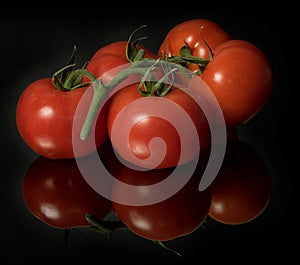 Branch of tomatoes on a black mirror surface with reflections  on black