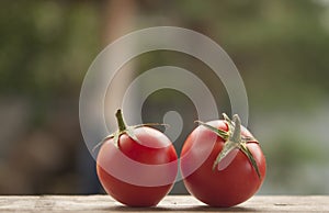 Branch of tomatoes on a dark wood background