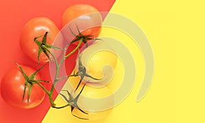 Branch with tomatoes and lemons on geometric yellow-red background