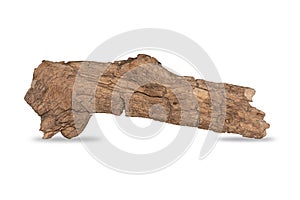 Branch tree dry cracked dark bark isolated on white background. clipping path