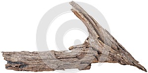 branch tree dry cracked dark bark isolated on white background. clipping path