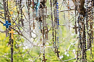 Branch of a tree full of rosaries