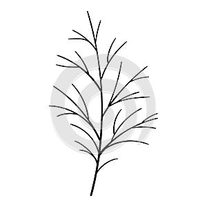 Branch tree vector botanical illustration. Forest greenery clipart.