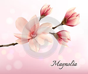 Branch with two pink magnolia flowers. photo