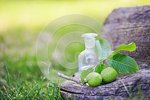 branch with two unripe green walnuts with leaves for preparation of medicines and tinctures. clear bottle with elixir cork. bottle