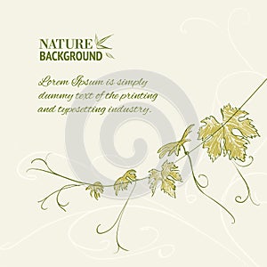 Branch of vine leaves.