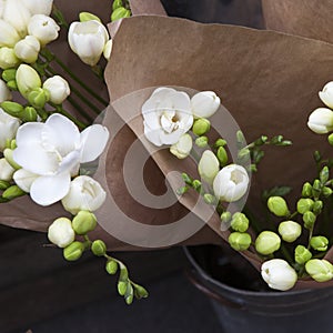 The branch of white freesia with flowers