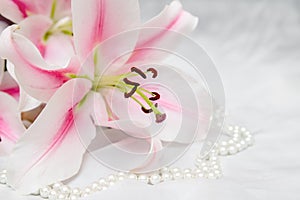 The branch of white lilys