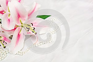 The branch of white lilys