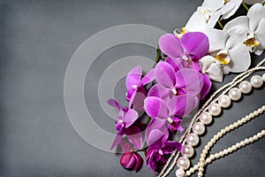 A branch of white and pink orchids. Greeting card. Beautiful composition.