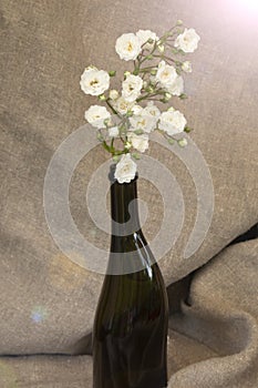 A branch of white small roses in the bottle on a background of natural linen