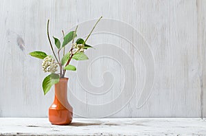 Branch on white table