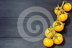 A branch of yellow cherry tomatoes isolated on the black wooden background with copy space for text