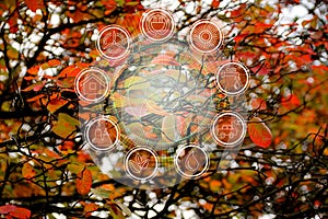 Branchbeautiful autumn background of red foliage of trees and environmental protection elements icons, ecological concept, close-